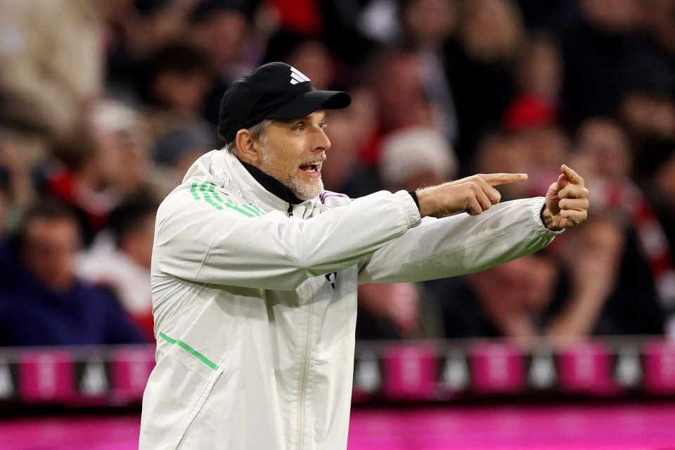 22连胜火箭阵容名单-九游登录页面